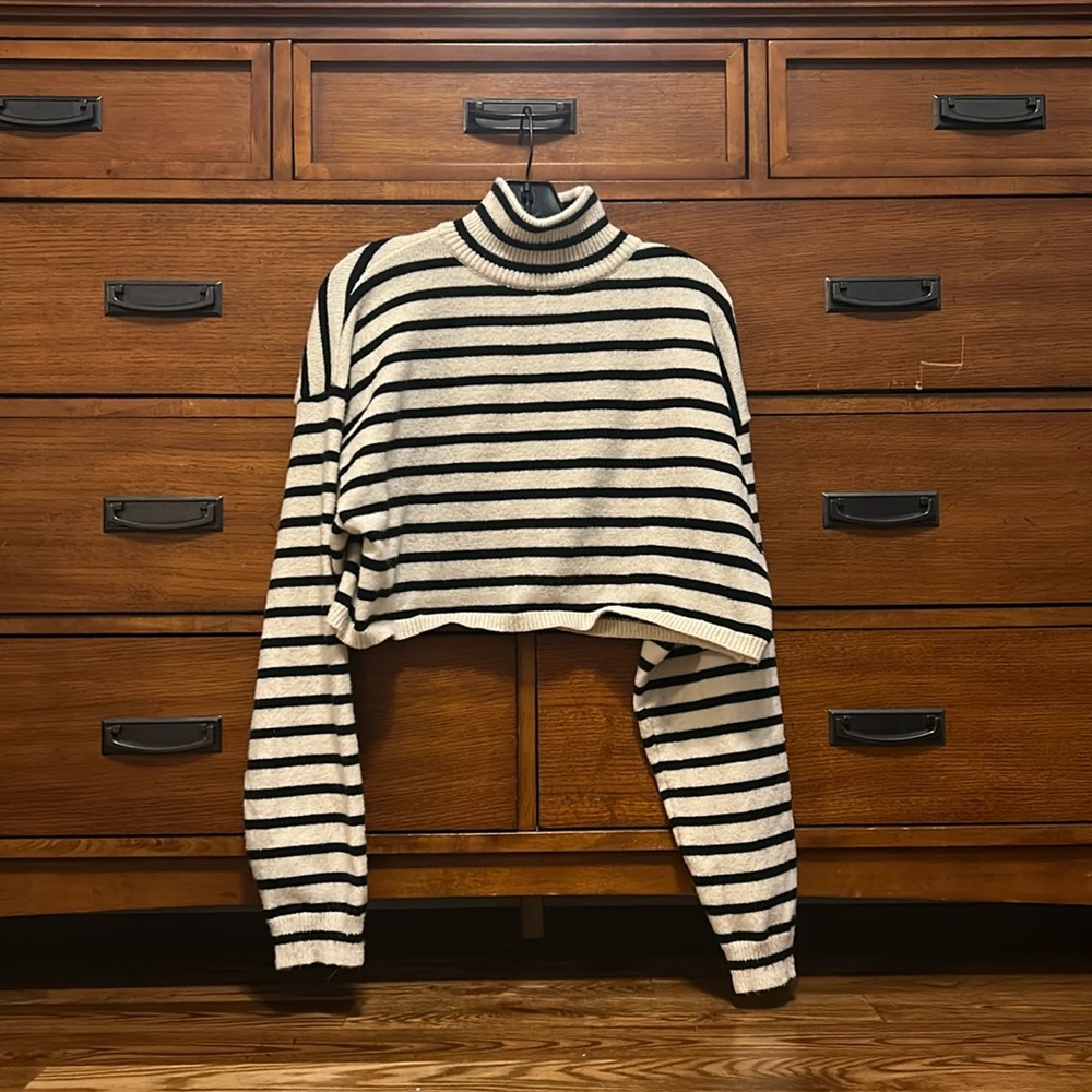 Cropped Striped Cider Turtleneck